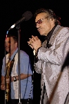 Click to see DSC_9152.JPG