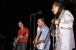 Click to see DSC_9172.JPG