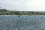 Click to see DSC_9205.JPG