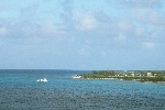 Click to see DSC_9206.JPG