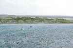Click to see DSC_9208.JPG
