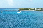 Click to see DSC_9213.JPG