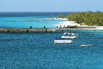 Click to see DSC_9223.JPG