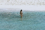 Click to see DSC_9224.JPG