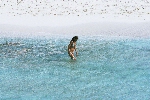 Click to see DSC_9225.JPG