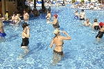 Click to see DSC_9242.JPG