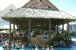 Click to see DSC_9260.JPG