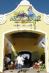 Click to see DSC_9282.JPG
