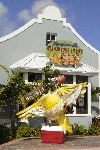 Click to see DSC_9283.JPG