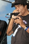 Click to see DSC_9438.JPG