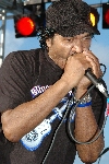 Click to see DSC_9440.JPG