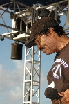 Click to see DSC_9445.JPG