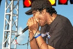 Click to see DSC_9464.JPG