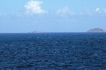 Click to see DSC_9679.JPG