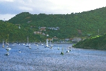 Click to see DSC_9884.JPG