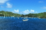 Click to see DSC_9901.JPG