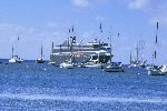 Click to see DSC_9908.JPG