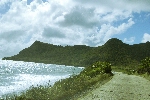 Click to see DSC_9915.JPG
