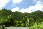 Click to see DSC_9916.JPG