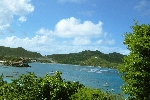 Click to see DSC_9919.JPG