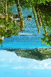 Click to see DSC_9924.JPG