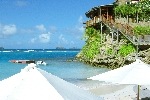 Click to see DSC_9928.JPG