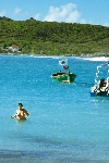 Click to see DSC_9931.JPG