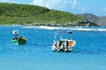 Click to see DSC_9932.JPG