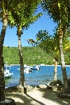 Click to see DSC_9936.JPG