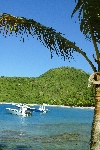 Click to see DSC_9937.JPG