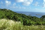 Click to see DSC_9953.JPG