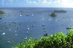 Click to see DSC_9957.JPG