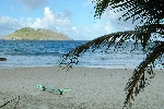 Click to see DSC_9968.JPG