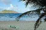 Click to see DSC_9969.JPG