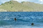 Click to see DSC_9971.JPG