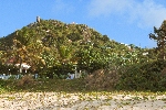 Click to see DSC_9979.JPG