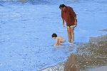 Click to see DSC_9983.JPG