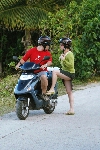 Click to see DSC_9984.JPG