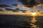 Click to see DSD_0169.JPG