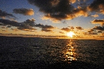 Click to see DSD_0170.JPG