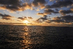 Click to see DSD_0172.JPG