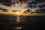 Click to see DSD_0173.JPG