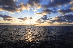 Click to see DSD_0174.JPG