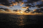 Click to see DSD_0177.JPG