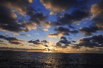 Click to see DSD_0180.JPG
