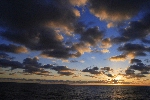 Click to see DSD_0181.JPG