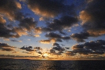 Click to see DSD_0182.JPG