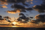 Click to see DSD_0183.JPG