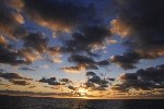 Click to see DSD_0185.JPG