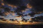Click to see DSD_0186.JPG